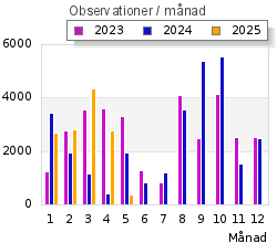 Diagram obsar/mån